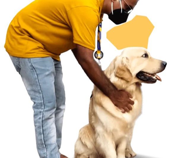 How Professional Grooming Keeps Your Dog Healthier, Happier, and More Confident