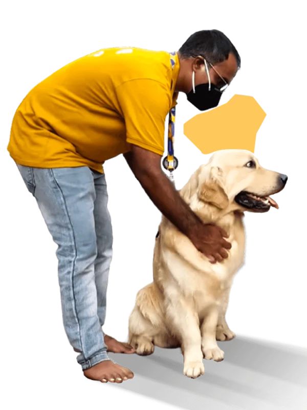 How Professional Grooming Keeps Your Dog Healthier, Happier, and More Confident