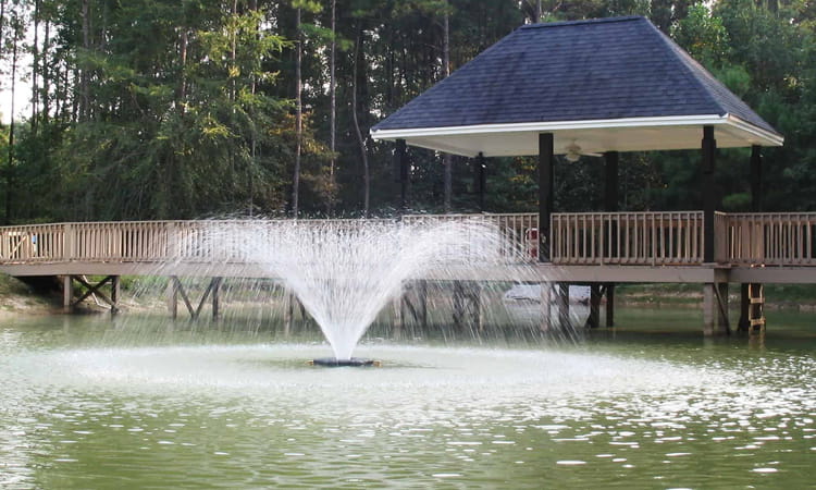 From Small Ponds to Grand Water Features: How to Size a Submersible Fountain Pump