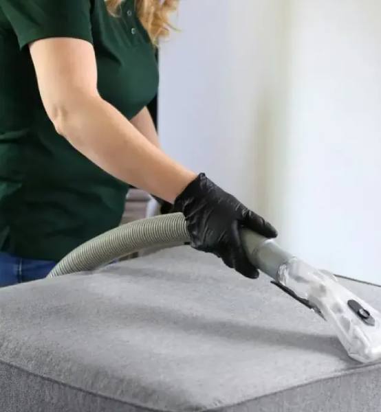 Spring cleaning service